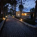 Alexandra 2 *