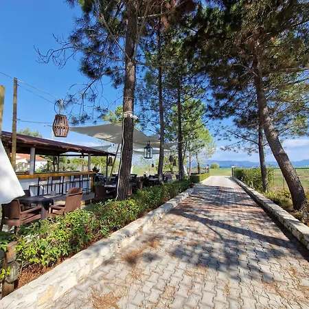 Alexandra 2 Appartement Lefkímmi